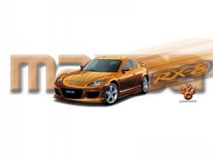 normal_rx8tigerdtbk.jpg